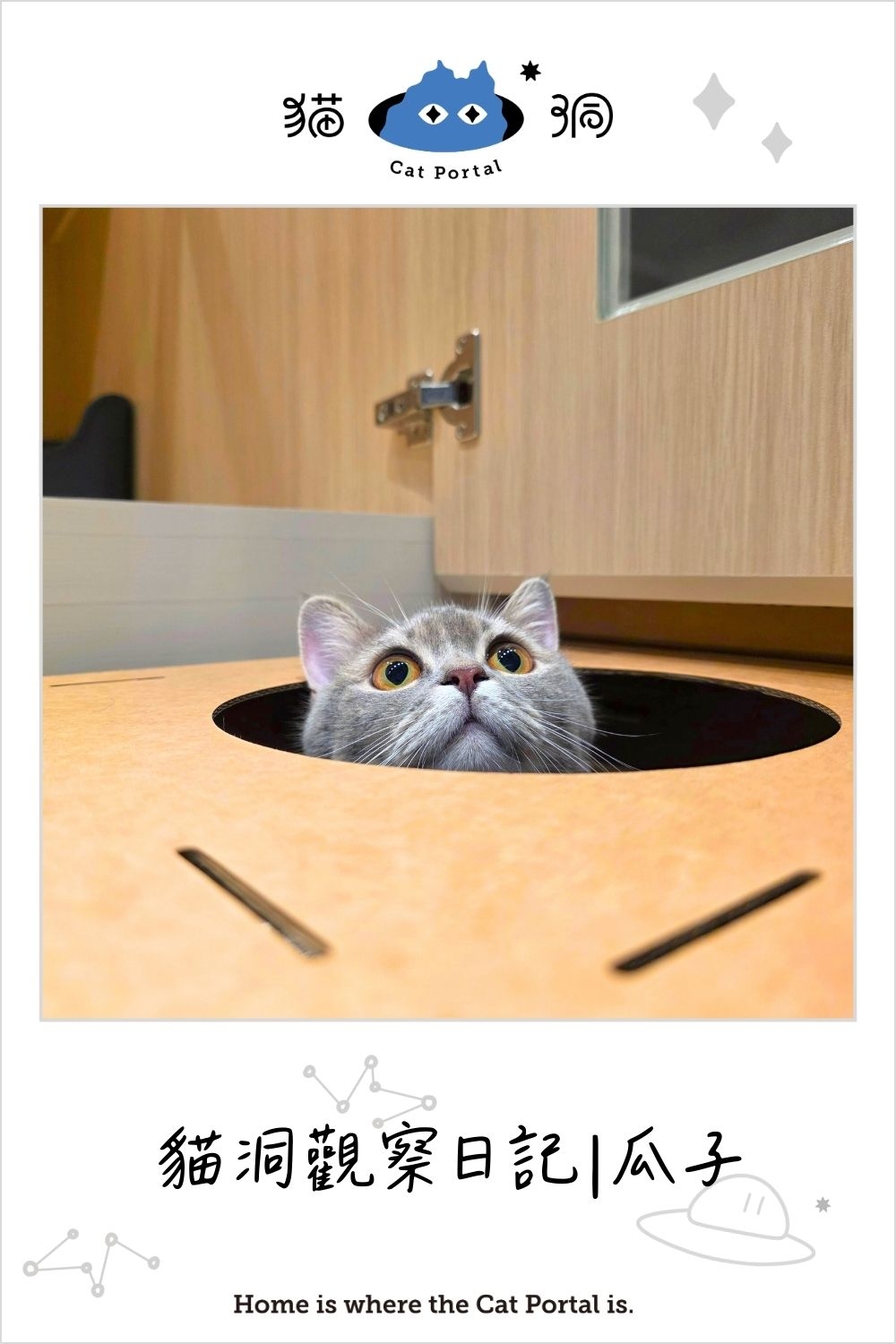 貓洞觀察日記｜瓜子