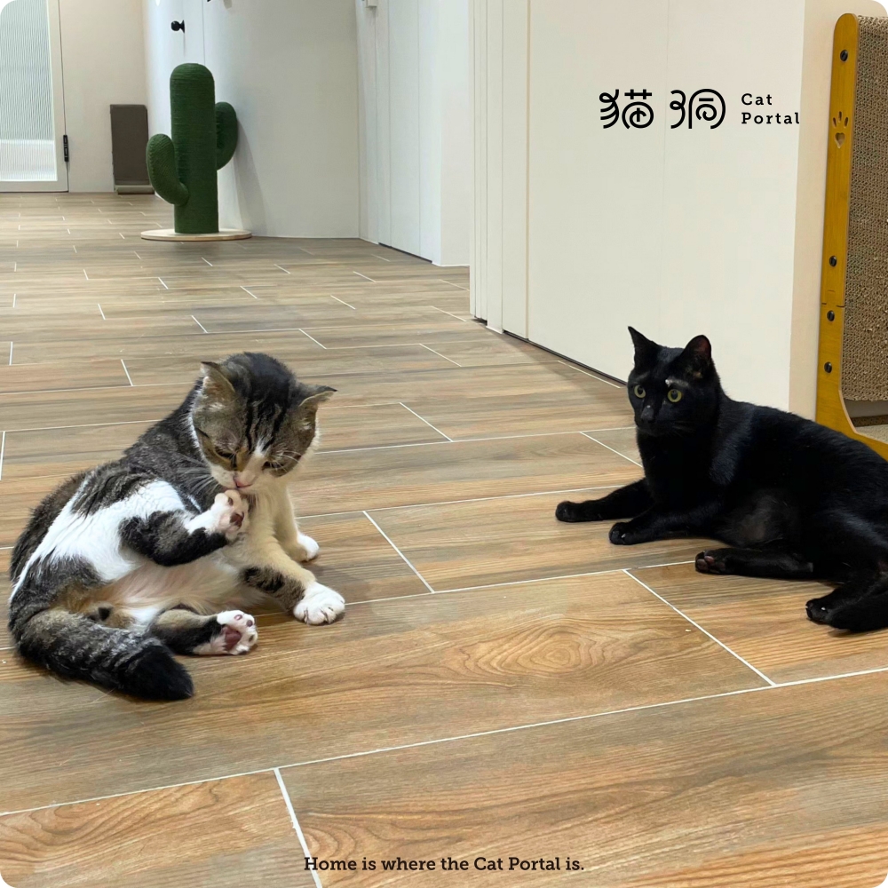 一起變老的日子，有你有我。