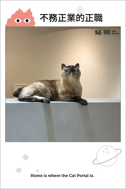 不務正業的正職.webp