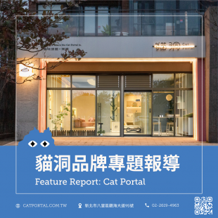 新北貓洞CatPortal專題報導