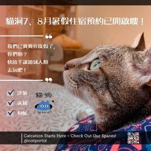 新北八里貓旅館預約住宿