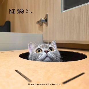 《貓洞觀察日記》｜瓜子 