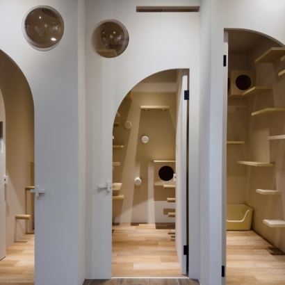 扁鐵樹屋